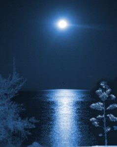 Luna sobre el agua