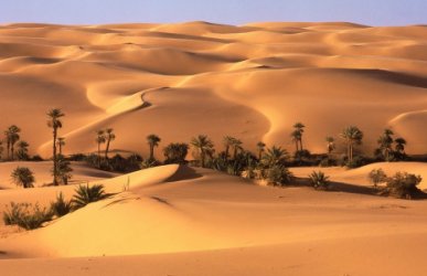 Oasis en el desierto
